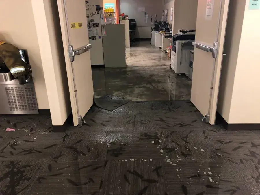 Wet carpet tiles and standing water in a Sugar Land office corridor